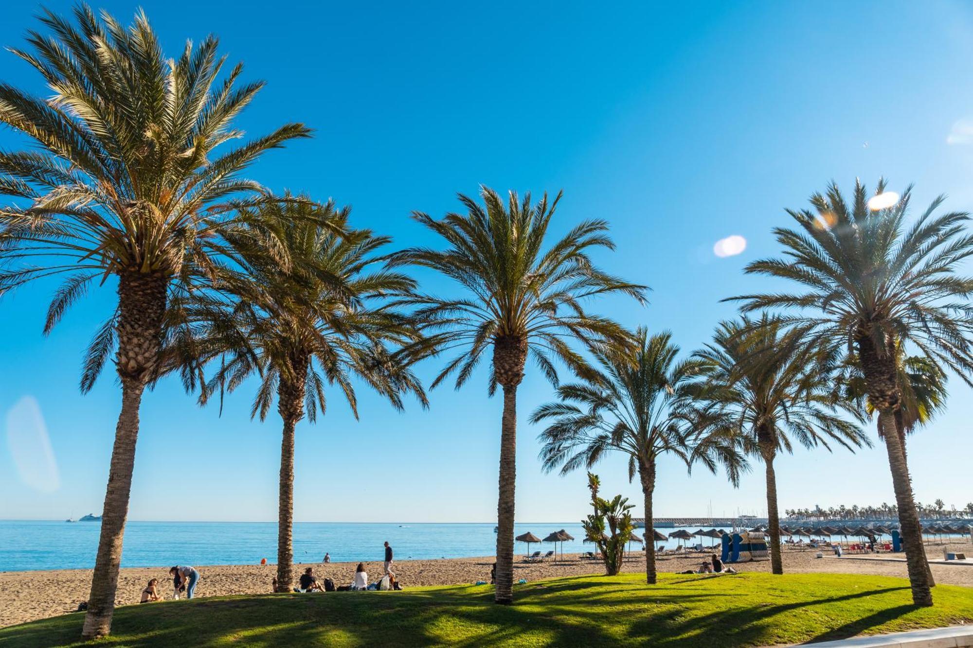 Your Home In Malaga Centro & Parking Free Экстерьер фото